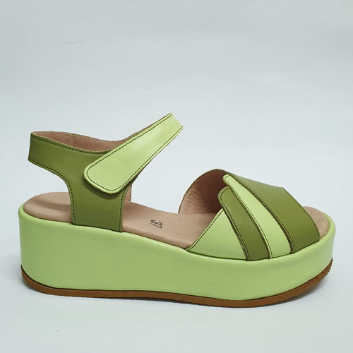 320 green medium